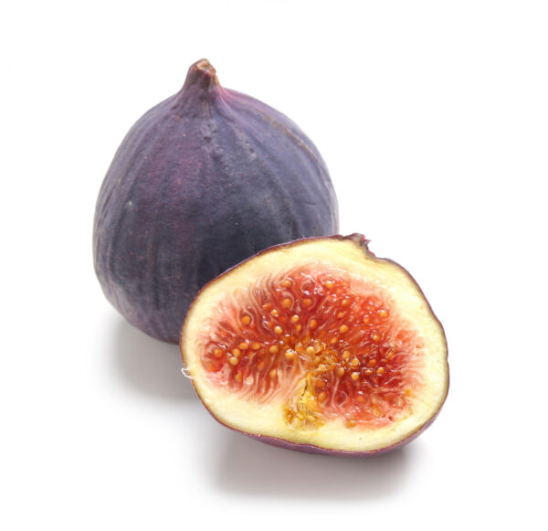 20230813112256 fpdl.in fig fruit 144627 17292 full